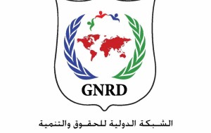 الشبكة الدولية