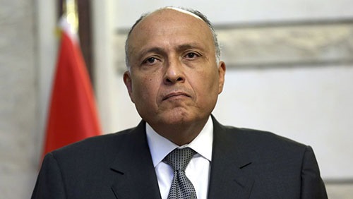 وزير الخارجية المصرى