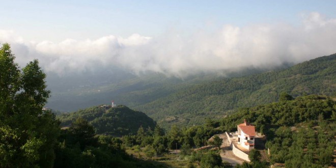 كم أنتي جميلة يا كسب