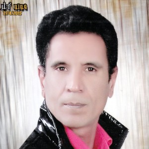 السيد الفضالى