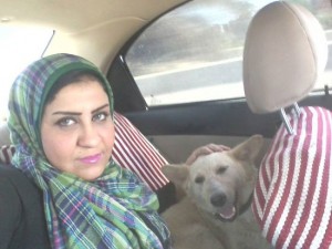 مقدمة  البلاغ