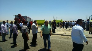 1669972_1009931705685569_4912537934236732311_o