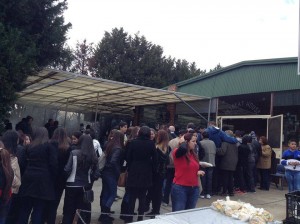 11902507_733613016750983_7603436652685946117_n