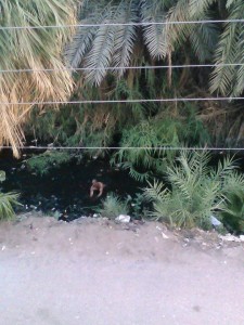 11949360_10206265973940859_2774933493330013472_n