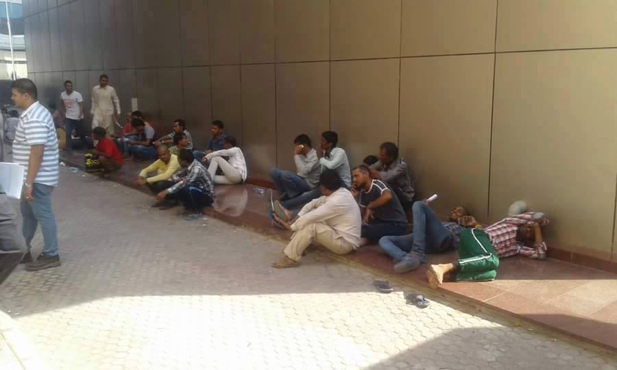 سعودي أوجيه