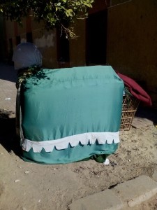 12314450_492835140898791_6375540122231456162_o