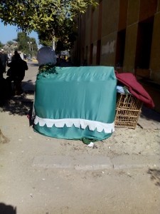 12362692_492835230898782_8398938610507795775_o