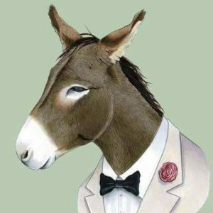 940999_1079330038767222_946017822791724098_n