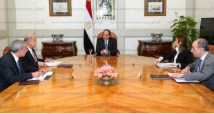 الحكومة المصرية