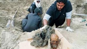 2016_5_24_11_54_54_879