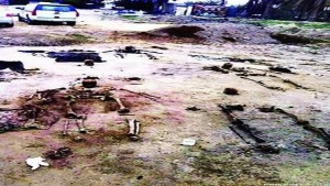 2016_5_24_11_54_59_395