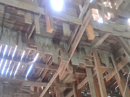 الكنيسة القبطية