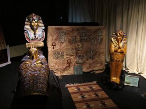 13318863_874175462694737_783503666_n