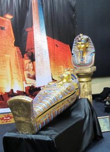 13342412_874175316028085_436988376_n