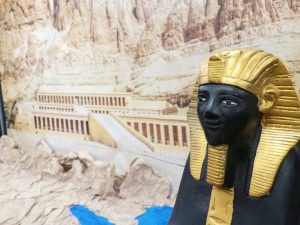 13390890_874175312694752_1536828029_n