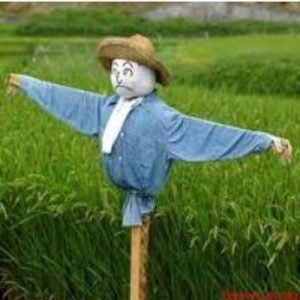 13726562_10154393838603993_195276200267966228_n