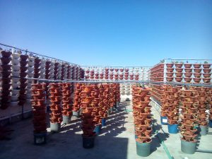 IMG_٢٠١٦٠٧١٤_١٥٤٣١٧