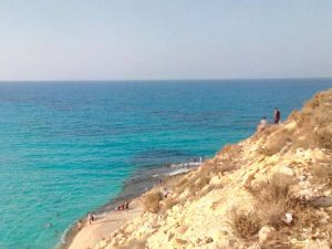 14045806_1143000265774996_2619414486563499107_n