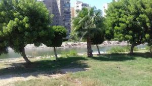 FB_IMG_1471799221493