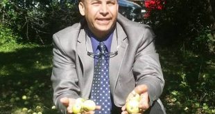 صلاح عبد السميع