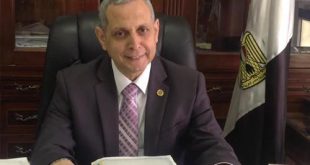 الجمارك المصرية