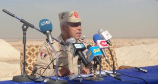 كامل الوزيرى