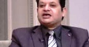 الخبير الاقتصادى وائل النحاس