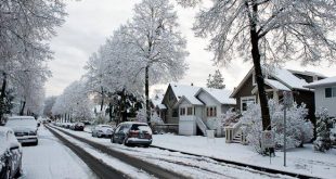 البيئة الكندية