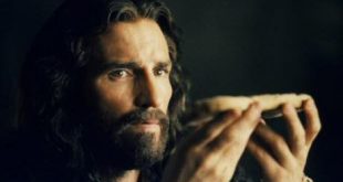 الكنيسة القبطية