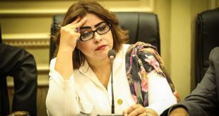 نائبة المصريين بالخارج