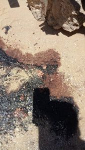 18740500_10155265328609098_3890516451499930480_n