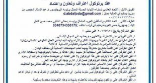 محمد حسن كامل