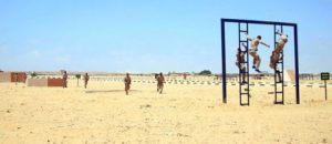 cb297e4f663288d14e734f03dbf365da.jpg&w=460&q=90&