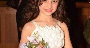 محمد حسن كامل