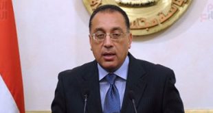 الحكومة المصرية