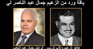 محمد حسن كامل