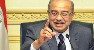 الحكومة المصرية