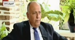 وزير الخارجية المصرى