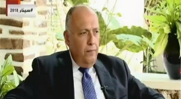 وزير الخارجية المصرى