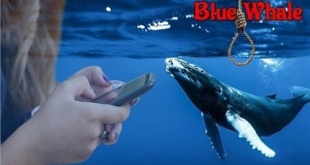 الحوت الارزق