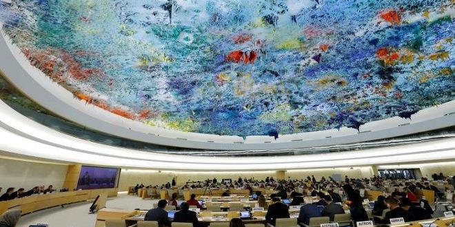 الأمم المتحدة