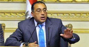 الحكومة المصرية