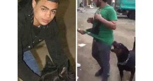 بلطجي الجيزة " سيد سيكا "