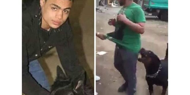 بلطجي الجيزة " سيد سيكا "