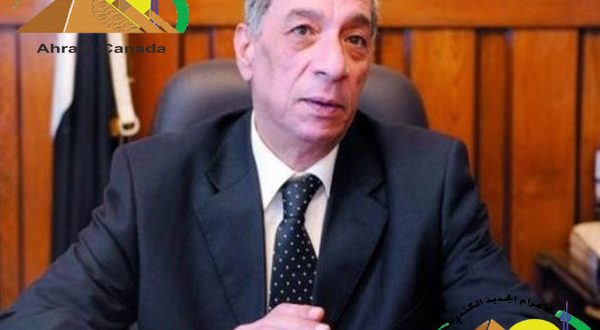 القضاء المصري