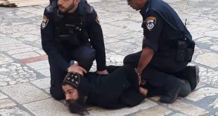 الكنيسة القبطية