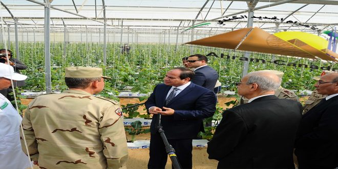 Abdel Fattah El-Sisi