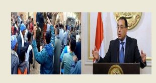 الحكومة المصرية