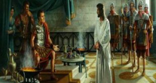 الكنيسة القبطية