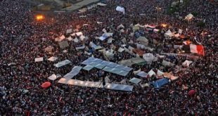 ثورة 25 يناير